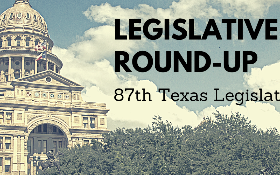 87th Texas Legislature: New Bills, New Committee Assignments