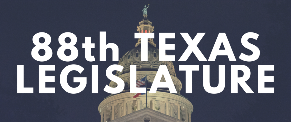 texas legislature committee assignments 2023